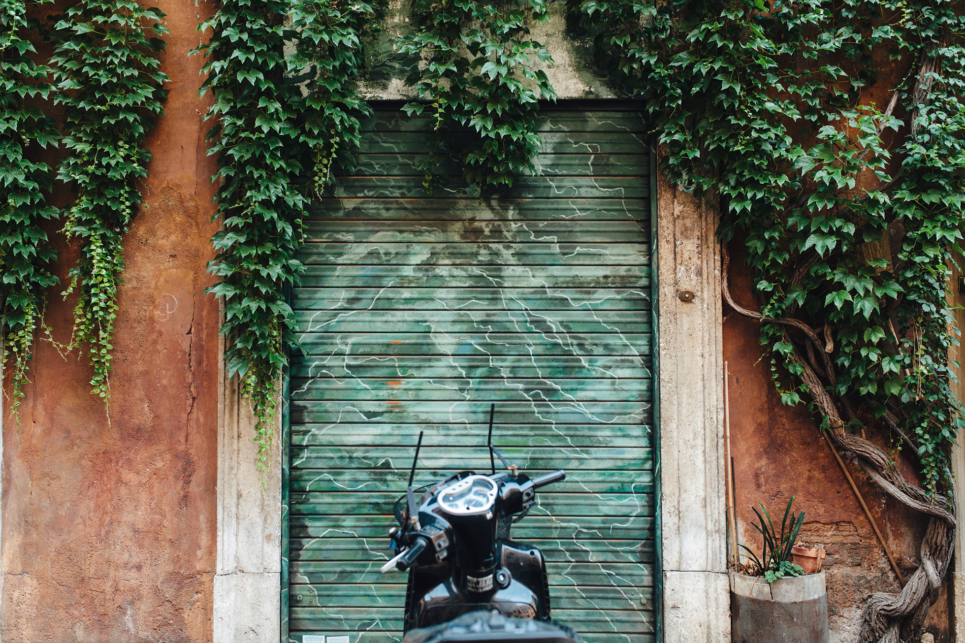 Cami + Peter {teaser} 285