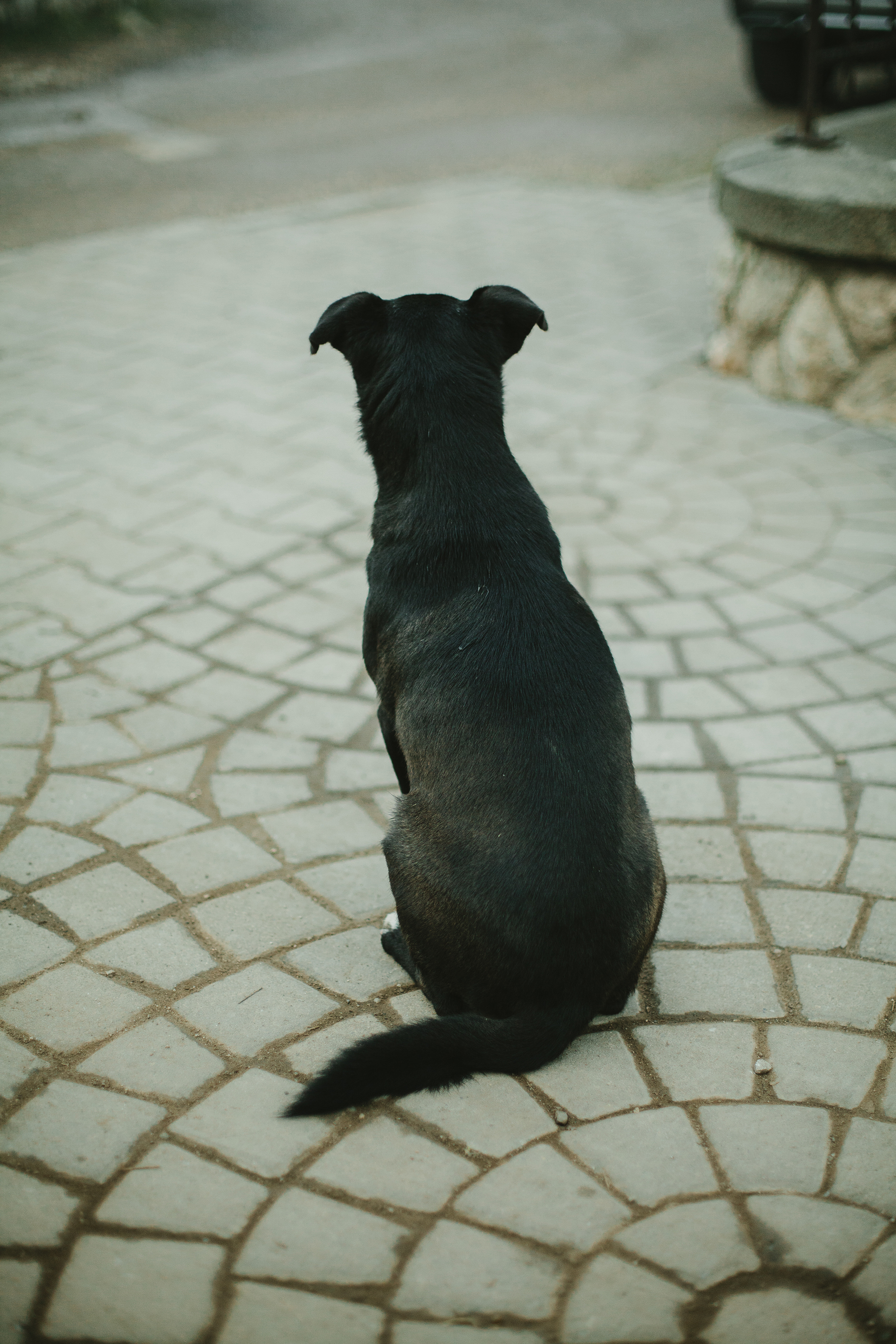 Andra + Mihai {after wedding} 231