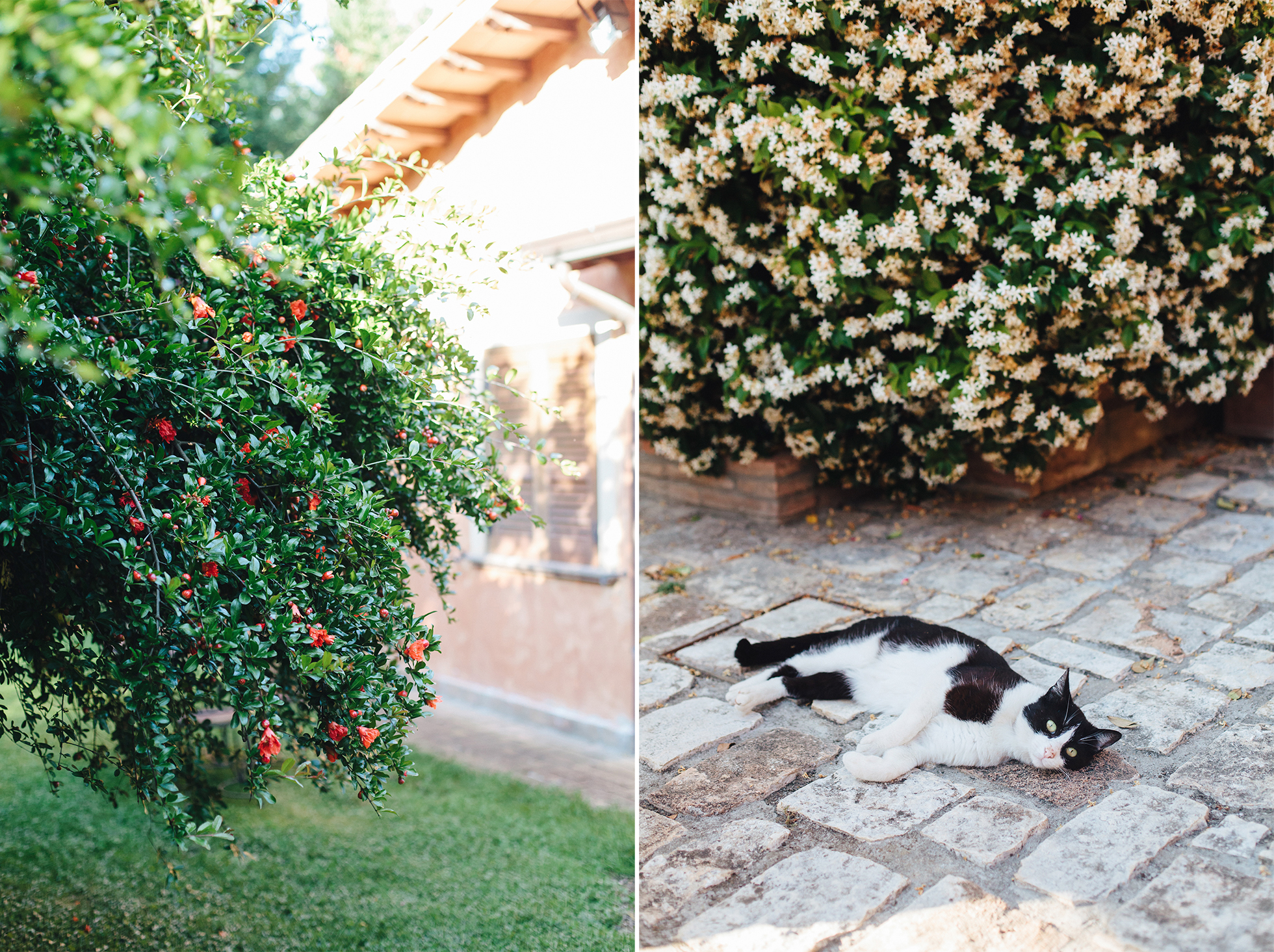 Cami + Peter {teaser} 173
