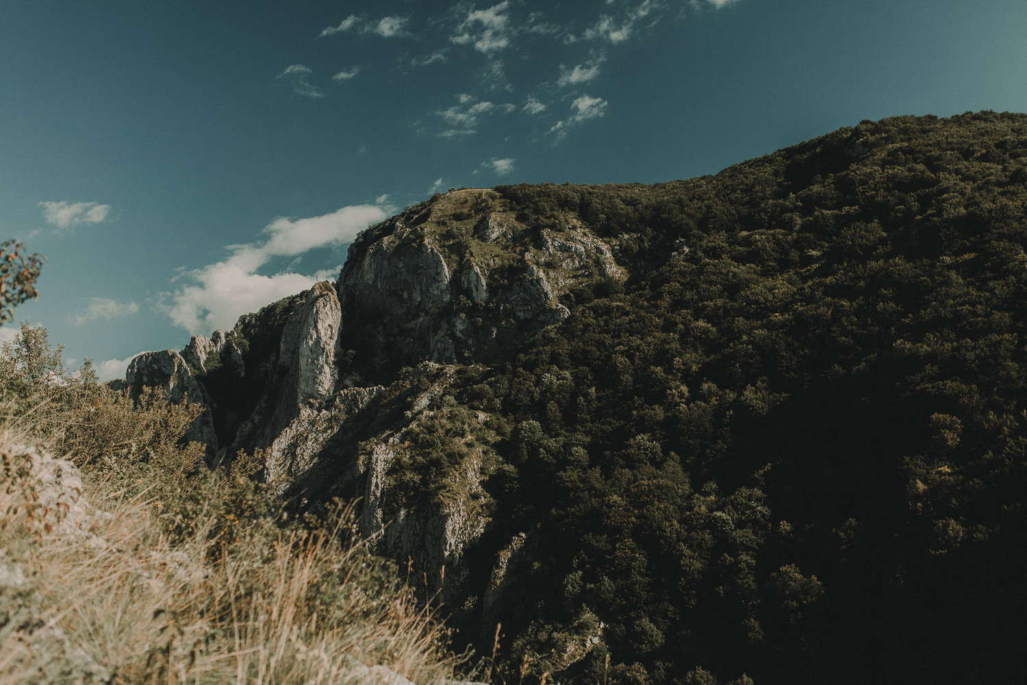 sia-cristi-teaser-180