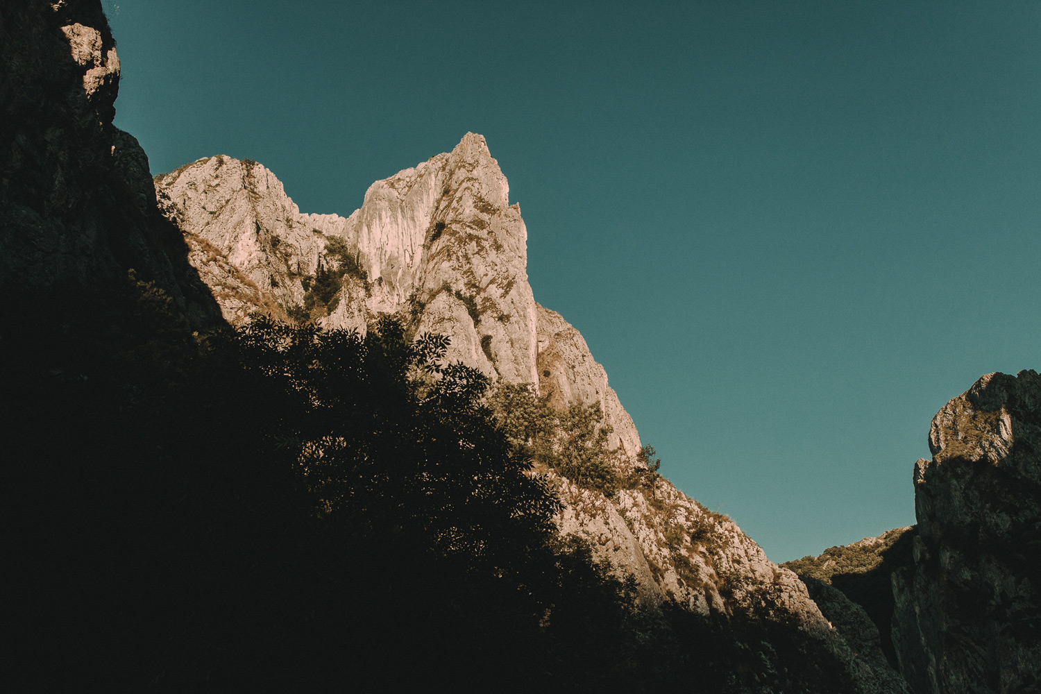 sia-cristi-teaser-220