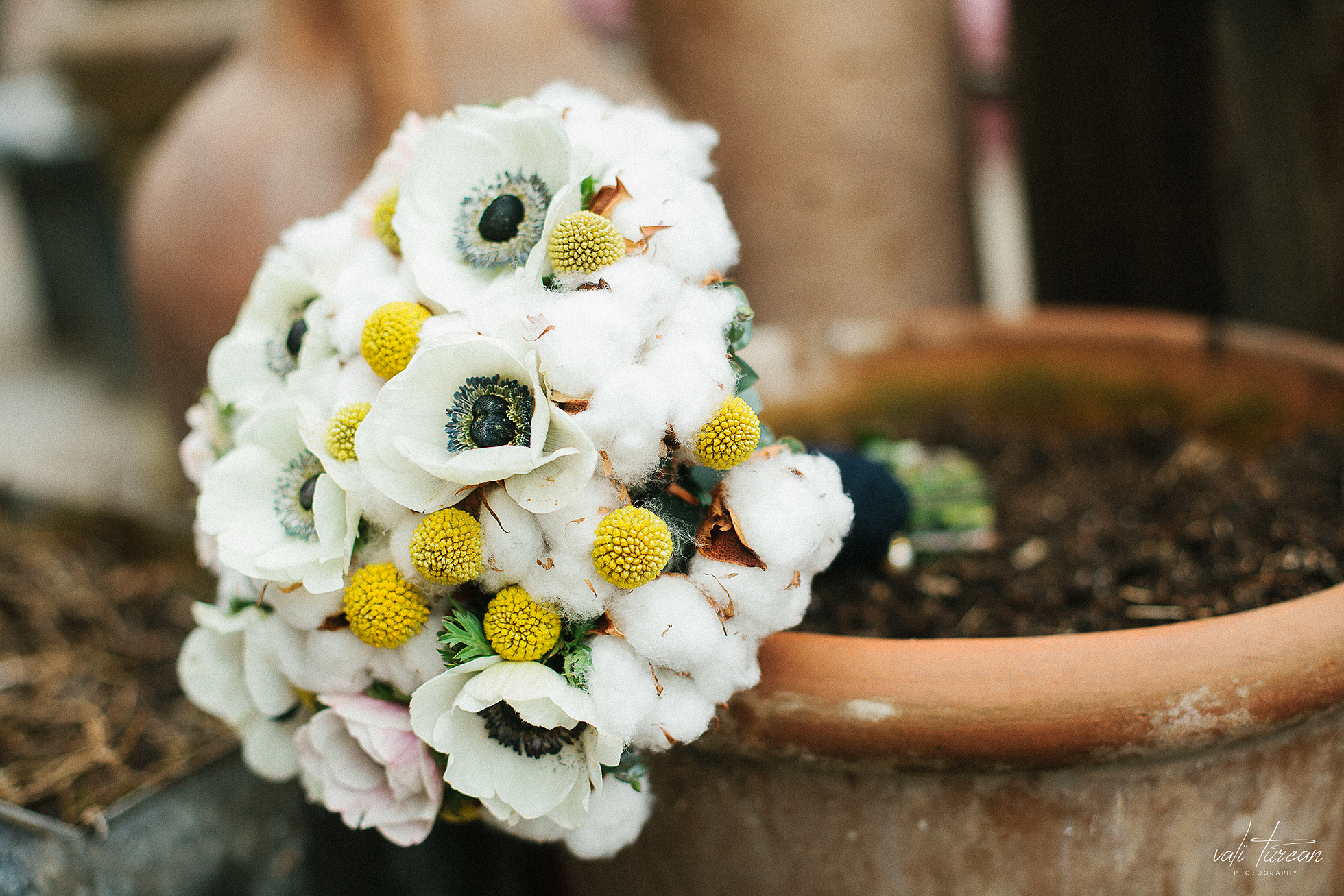 Bogi - Cristi {guestbook} 074