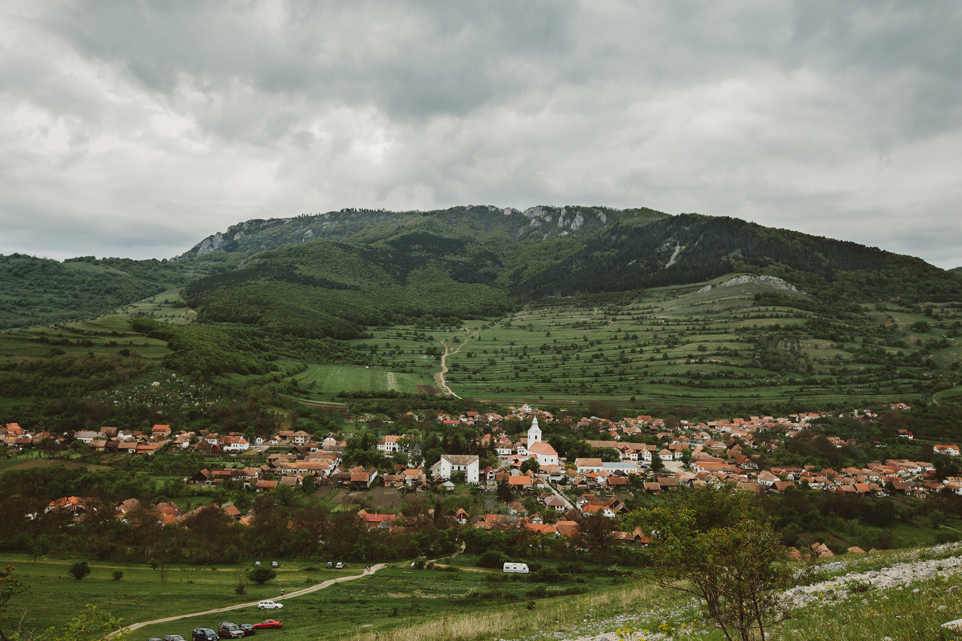 Andra-+-Traian-{save-the-date}{teaser}-001