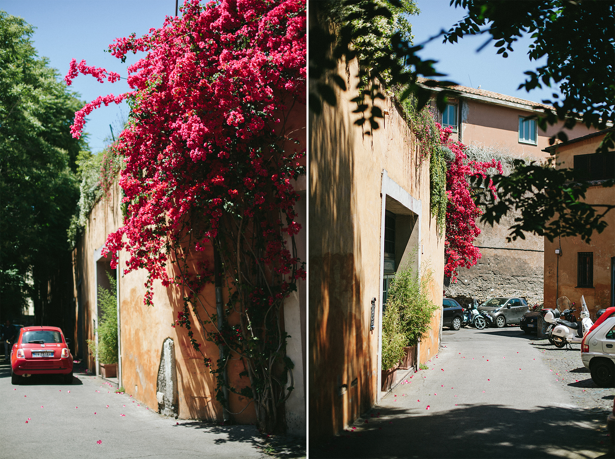Cami + Peter {teaser} 281b