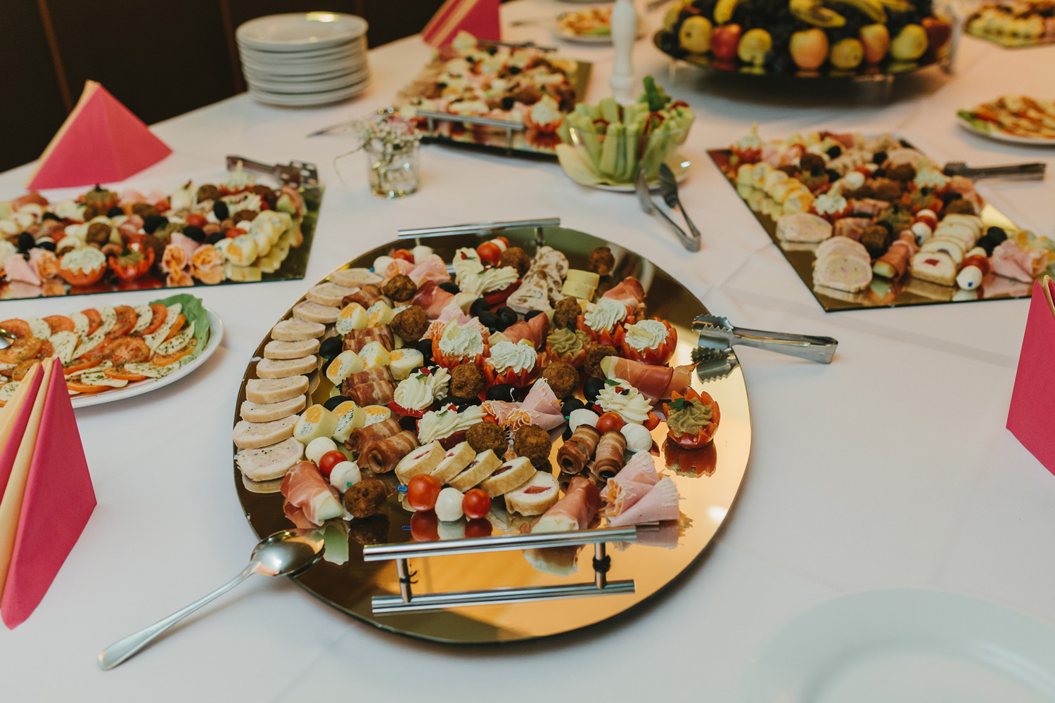 ana-carolina-botez-040