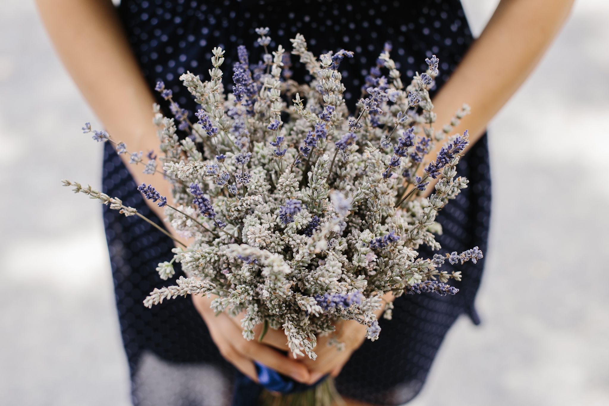 Andreea + Nelutu {cununie civila}{teaser} 0001