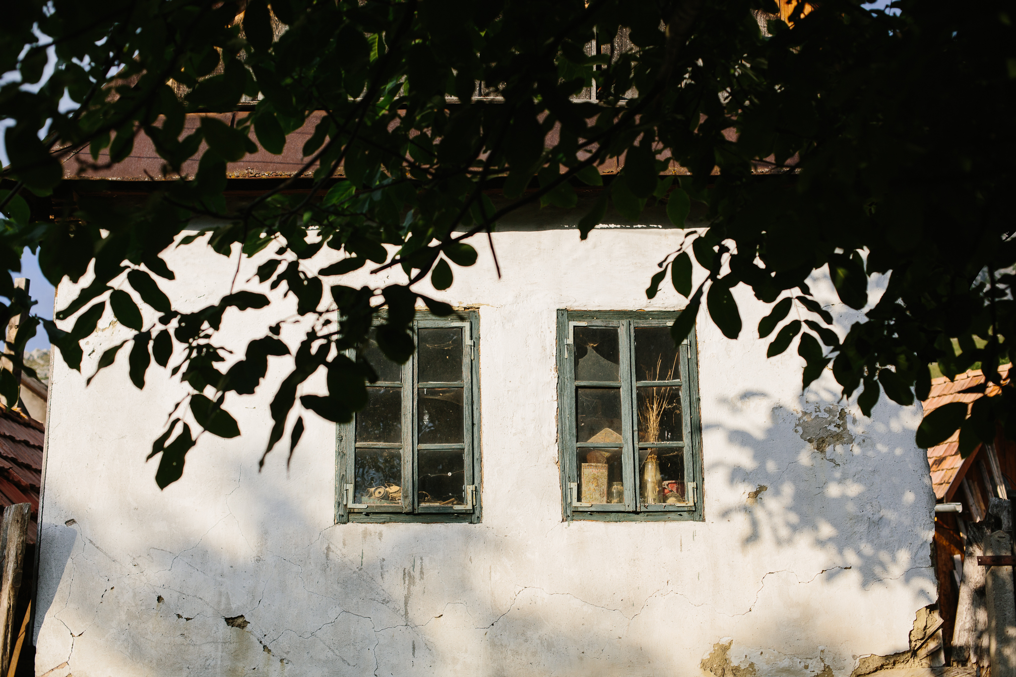 Andreea + Nelutu {cununie civila}{teaser} 0052