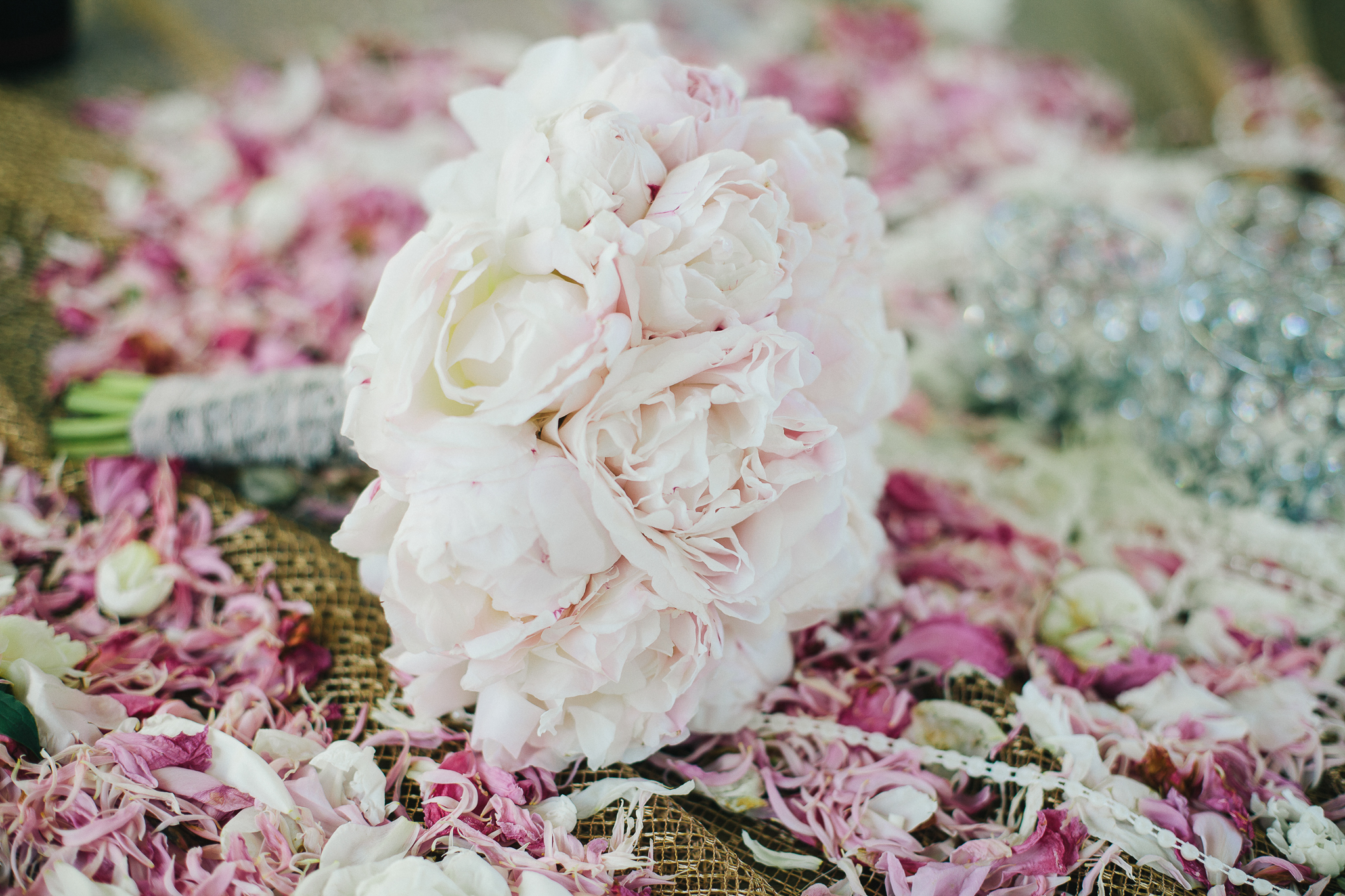 Bogi + Cristi {teaser} 113