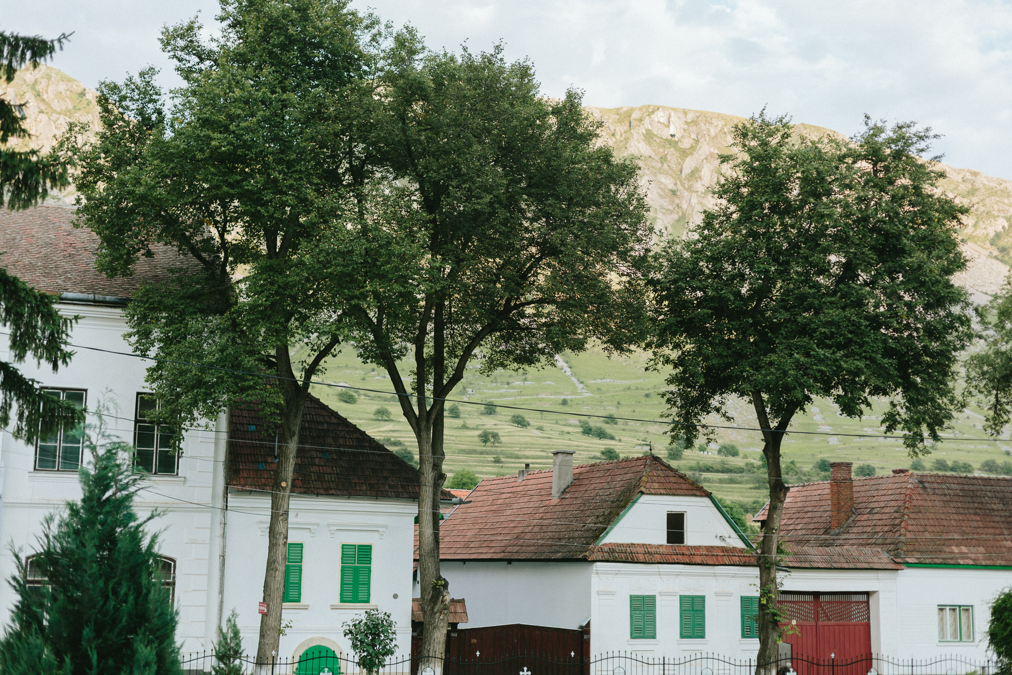 Andreea + Nelutu {cununie civila}{teaser} 0084