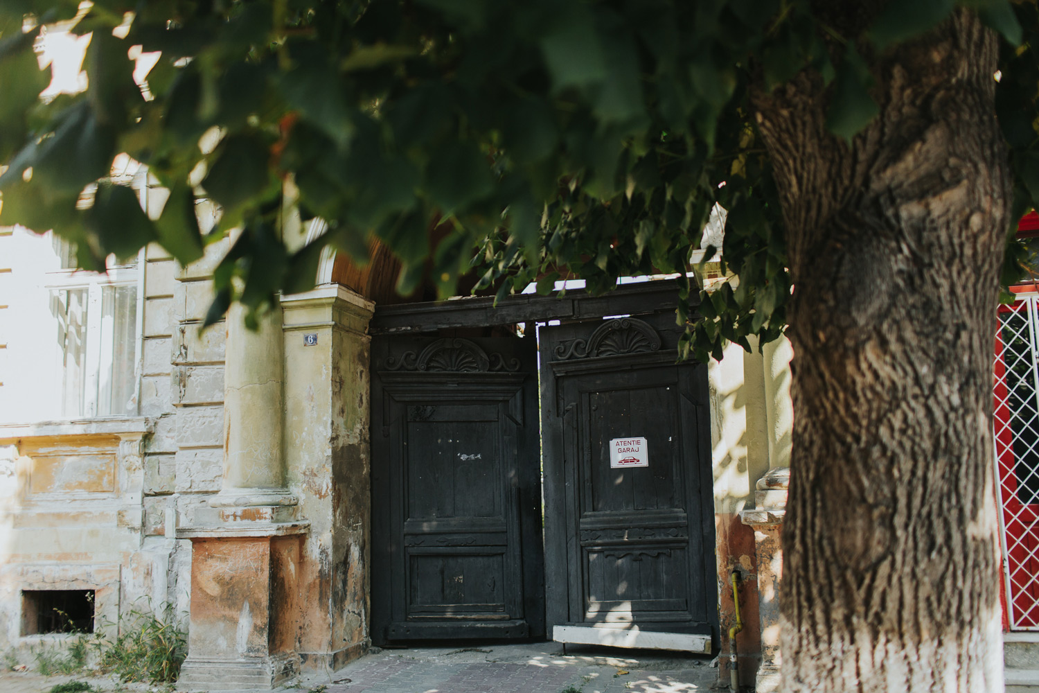 adela-louai-teaser-114