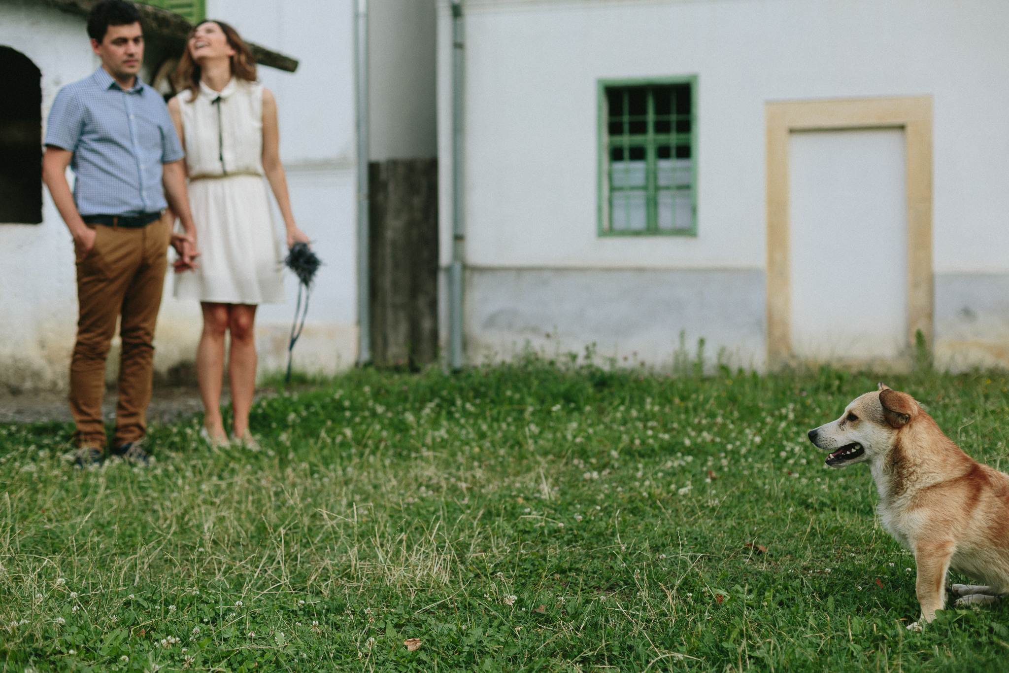 Andreea + Nelutu {cununie civila}{teaser} 0086