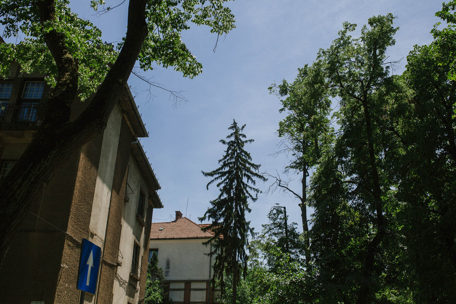 Alida-+-Gergo-{teaser}-047