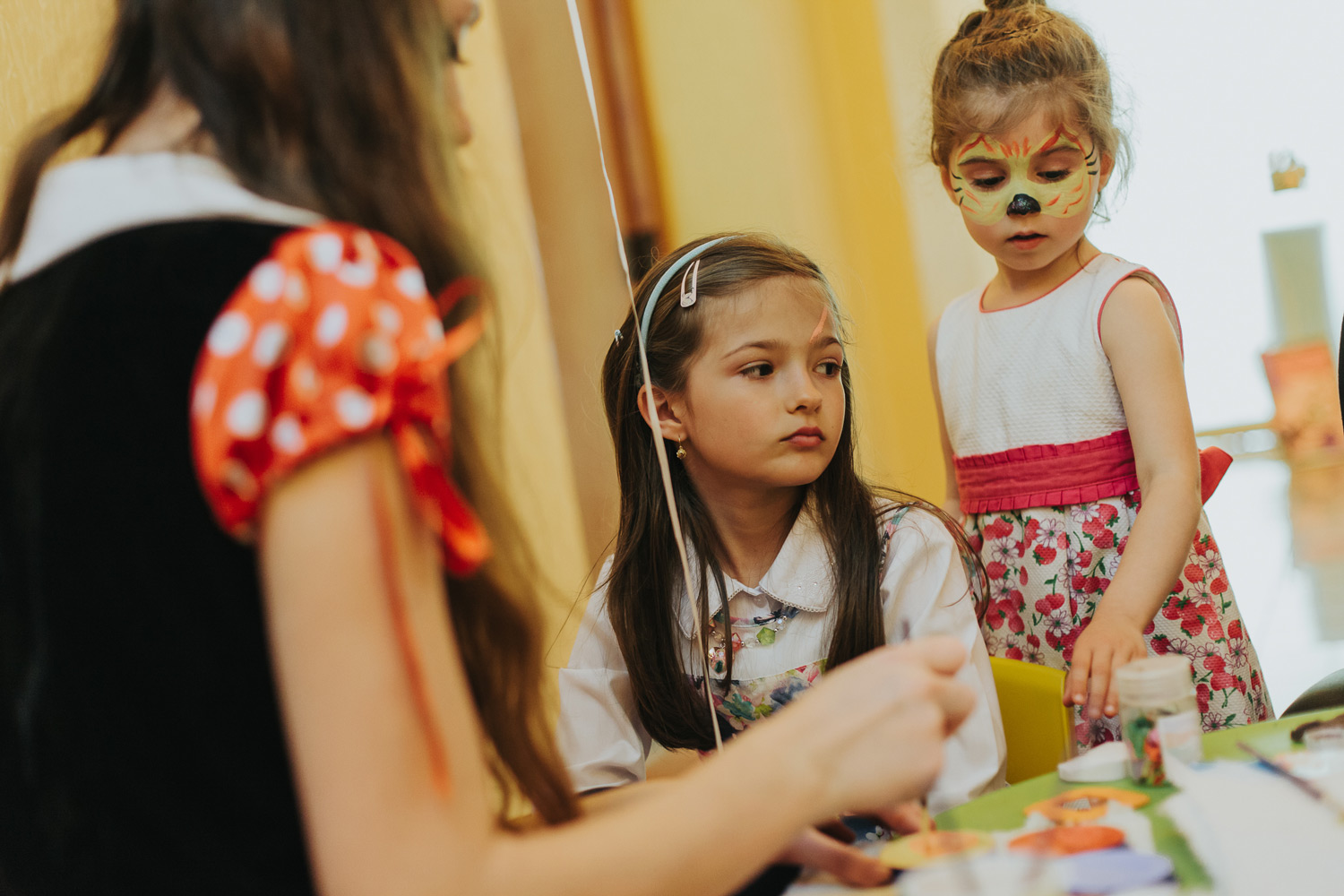 ana-carolina-botez-048