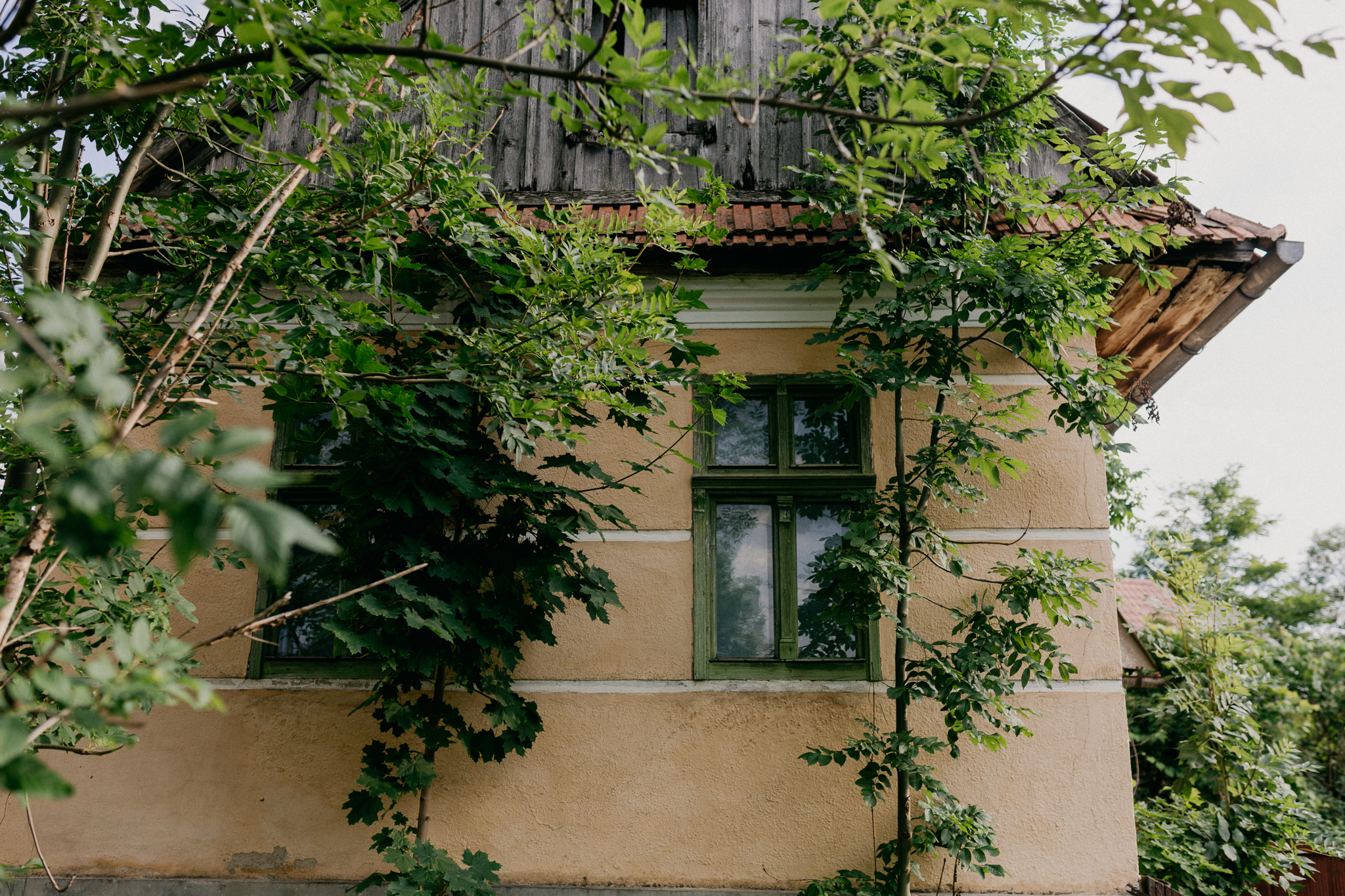 Andreea + Nelutu {cununie civila}{teaser} 0048