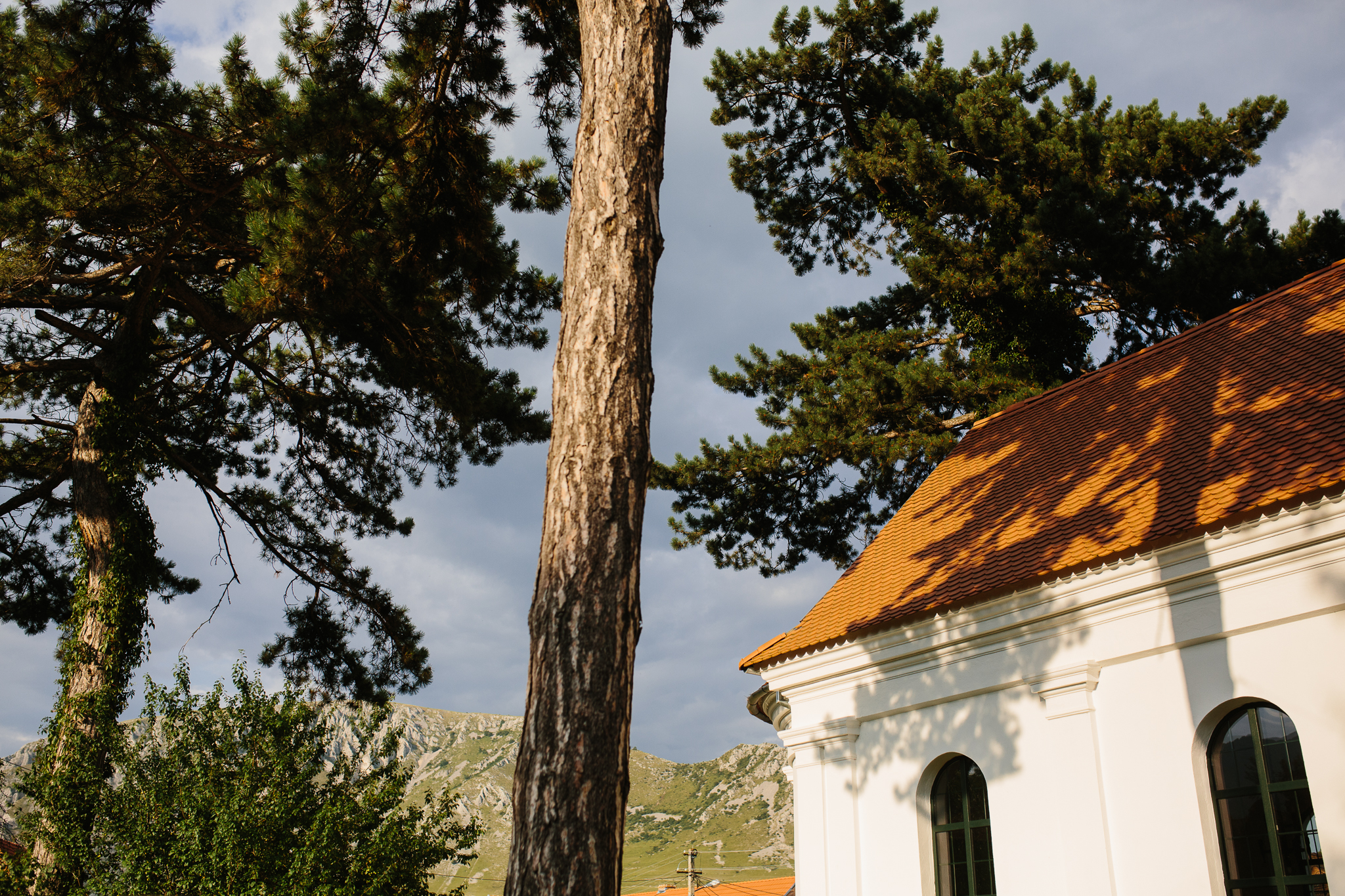 Andreea + Nelutu {cununie civila}{teaser} 0058