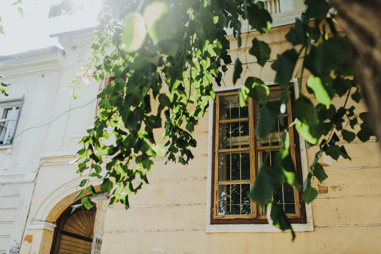 adela-louai-teaser-119