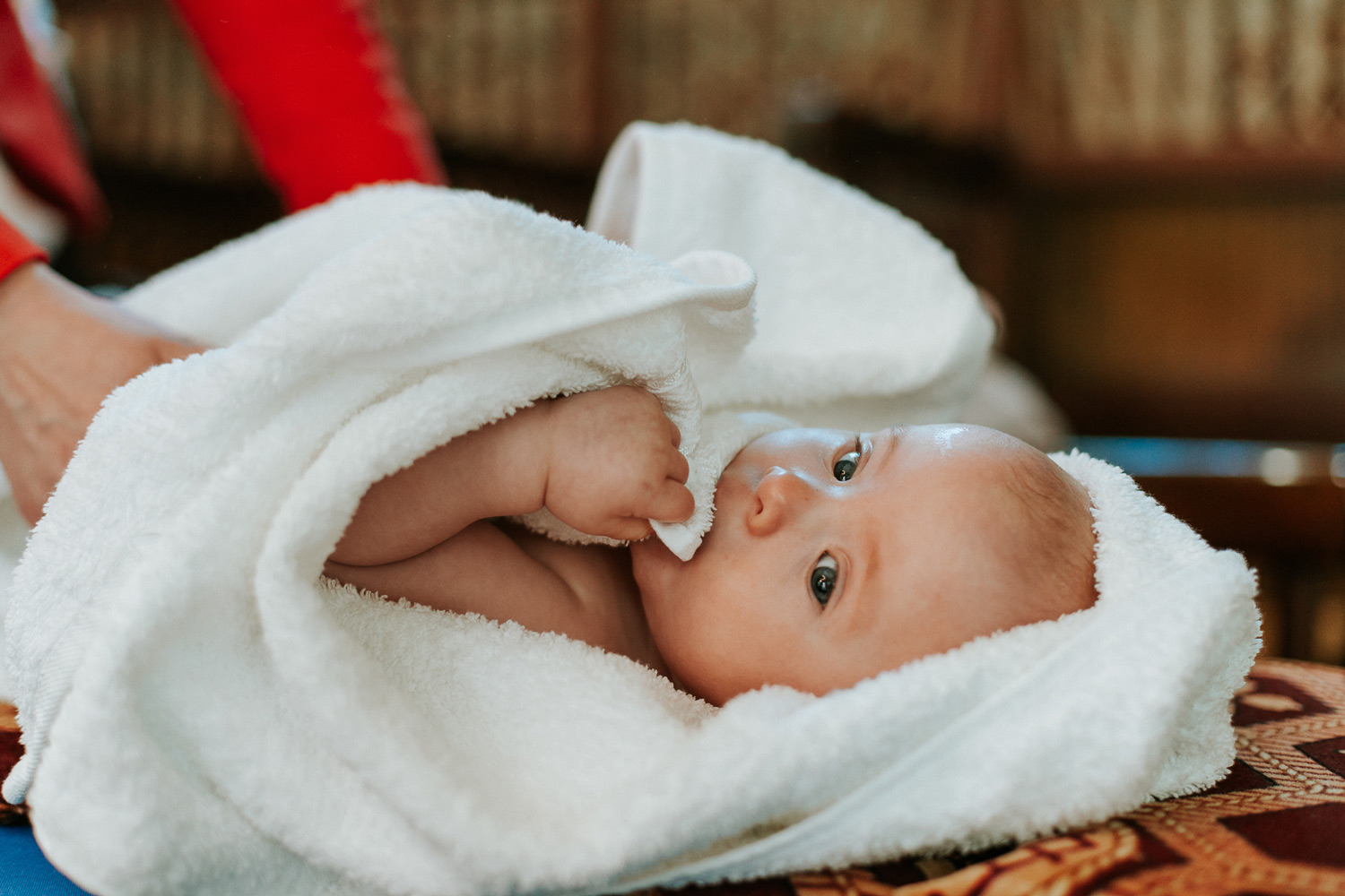 ana-carolina-botez-029